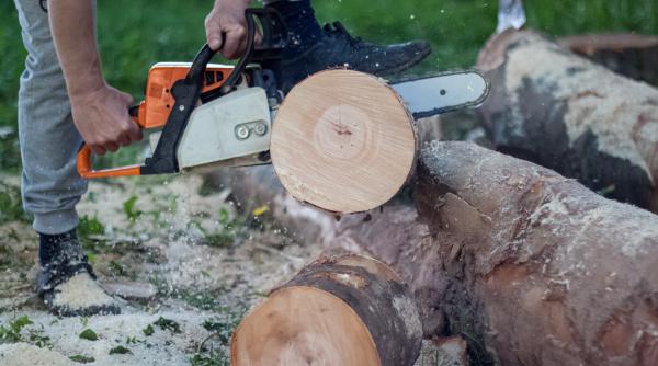 Destin tragic pentru un român de 41 de ani: A plecat să strângă un ban, dar și-a găsit sfârșitul într-o pădure din Austria 