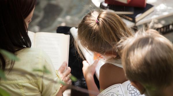 Lipsa manualelor, un obstacol pentru profesorii români din diaspora. Ana-Maria Flegler: "Ne este foarte greu" - VIDEO