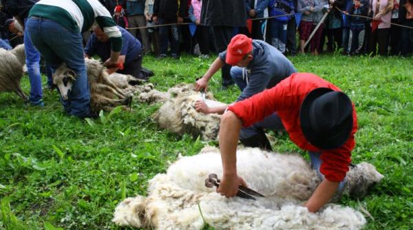„Dorul cu reminiscențe strămoșești”, despre folclorul pastoral și balada Miorița