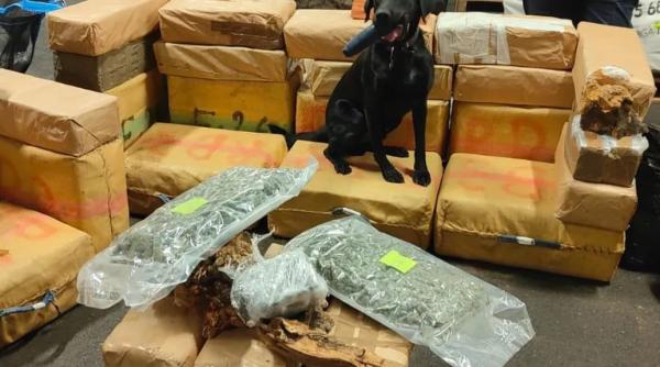 Drogul „Zombie” a ajuns în România: Captură de 200.000 de euro în București