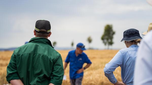 Lovitură pentru cei care exploatează muncitorii sezonieri în Italia. Amendă de 5.500 de euro pentru cazare prea scumpă sau în condiții mizere