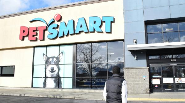 Spania interzice vânzarea câinilor, pisicilor și dihorilor în magazine: amenzi de până la 200.000 de euro