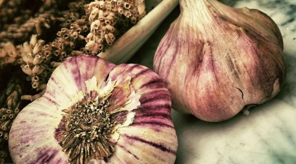 Cât de interesați sunt tinerii din diaspora de tradițiile românești. Andreea Cosma: Parcă vrei să-ți pui usturoi la geam de Sf. Andrei / video