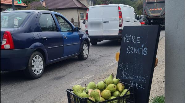 Gest superb! Ce a găsit o româncă în lădiță, după ce le-a dat pere gratis șoferilor prinși în aglomerație - FOTO