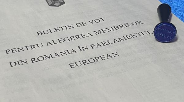 Ultima zi în care românii din diaspora se mai pot înscrie pentru a vota prin corespondenţă la alegerile parlamentare
