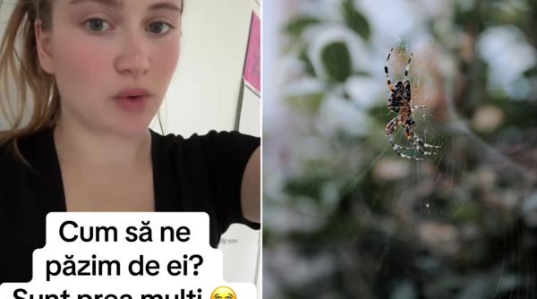 O româncă din Anglia avertizează toate mămicile: „Atenție la copii! Păianjenii sunt peste tot în această perioadă!”