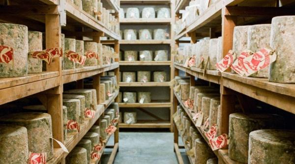 Escrocherie de proporții în Londra: A fost furată brânză de 300.000 de lire de la unul dintre cei mai respectați producători din UK