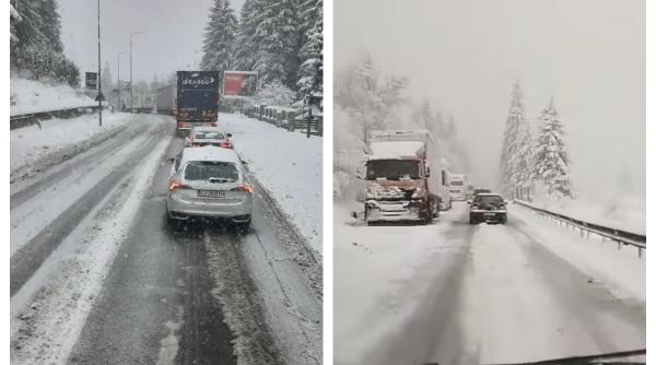 România, lovită de prima ninsoare. Drumurile s-au umplut de zăpadă, copaci căzuți pe străzi, localități fără curent