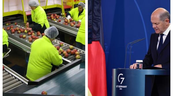 Oficialii germani, revoltați când au văzut ultimele cifre. Care sunt imigranții care muncesc cel mai puțin în Germania