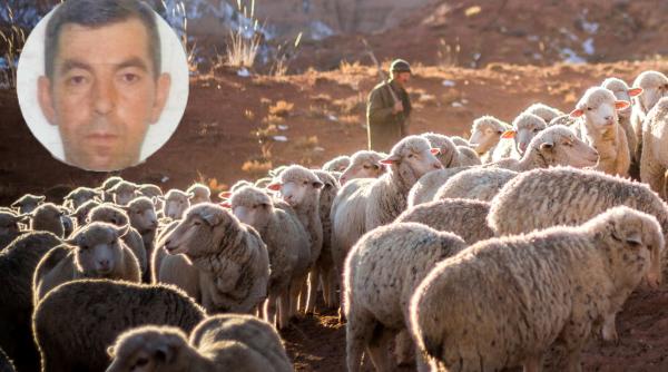 Român, dispărut în Italia: Ce s-a întâmplat cu Laurențiu Cosarianu după ce a ajuns să muncească la o fermă