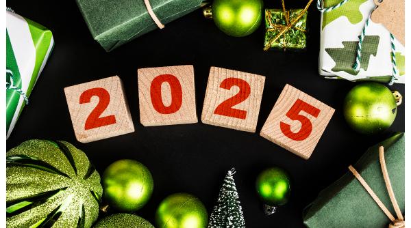 Cum va fi vremea de Revelion și Anul Nou în România. Prognoza meteo de la ANM 