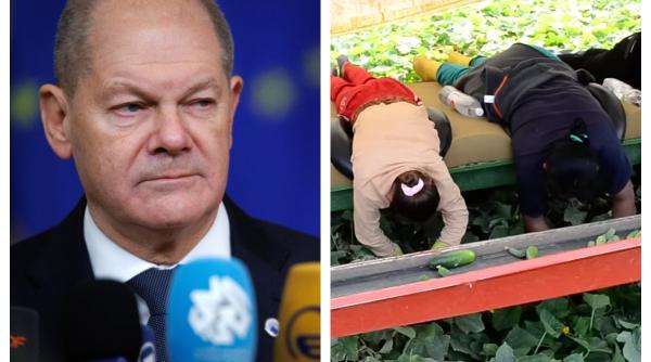 Creștere uriașă a numărului de șomeri în Germania. A fost depășită orice estimare a oamenilor fără locuri de muncă