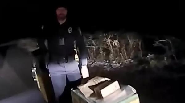 Enervat că are mult de muncă, un șofer Amazon a "livrat" 80 de colete pe câmp