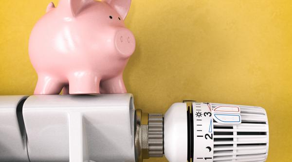 Legea încălzirii din Germania dă fiori reci consumatorilor. Proprietarii de case vor plăti facturi uriașe