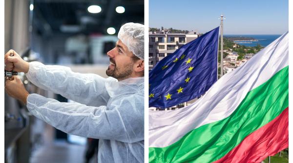 O mare fabrică se mută din Bulgaria în România. Ciolacu: "Vine și un mare fond de investiții american"