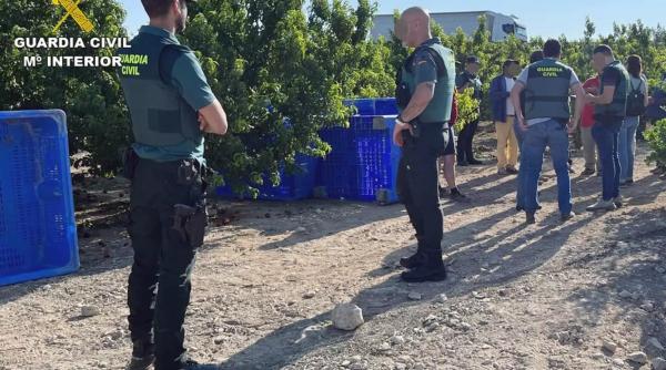 Peste 50 de români, sclavi pe o plantație din Spania. Poliția a efectuat 6 arestări