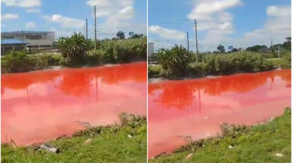 Un râu din Argentina a devenit complet roșu. "Fenomenul" i-a speriat pe localnici care cer explicații de la autorități