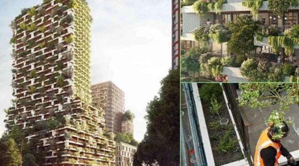 Scandal într-un oraș din Olanda. Cerșetorii români au ocupat un bloc de lux nefinisat și nu mai vor să plece