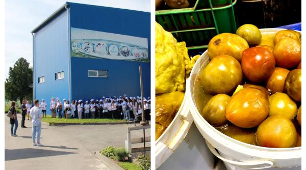 O companie din România oferă angajaților prime de murături de 2000 de lei