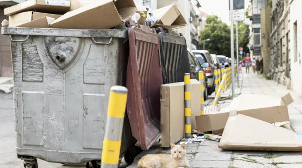 Pensionară ecologistă, amendată în Italia cu 500 de euro pentru că a scos gunoiul la poartă prea devreme