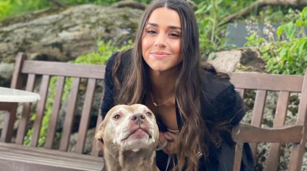 Cea mai căutată femeie din Europa a fost arestată în Spania. Acoperirea: salvatoarea câinilor abandonați