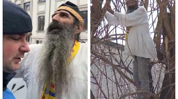 Stegarul dac, prins chiar înainte să se urce iar în copacul de lângă Arestul Central