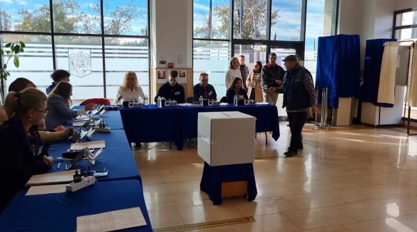 Votul în Diaspora. O româncă din străinătate a ajuns să voteze într-o zonă industrială, de la marginea orașului, fără trotuar