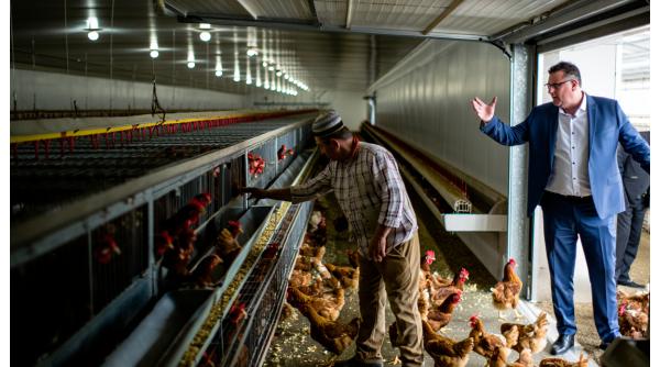 Un român a ruinat afacerea unui patron austriac, după ce a fost concediat: "M-am enervat" 