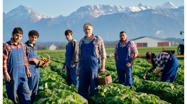 Ce salarii au românii din Elveția care lucrează în agricultură: "Nu vor reducerea programului de lucru"
