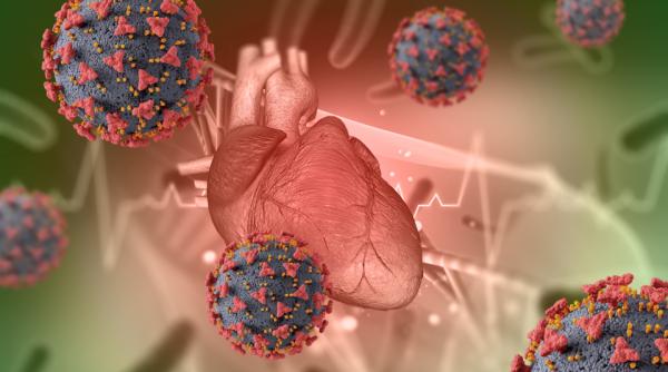 Studiu: bacterii bune și rele din intestin