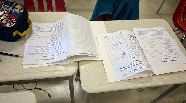 Cursuri, tabere, serbări: cum îşi menţin românii din Canada cultura vie – partea 1