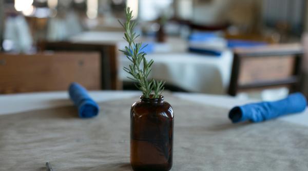 Ce se întâmplă în creierul tău când miroși rozmarin. Nu e magie, e știință!