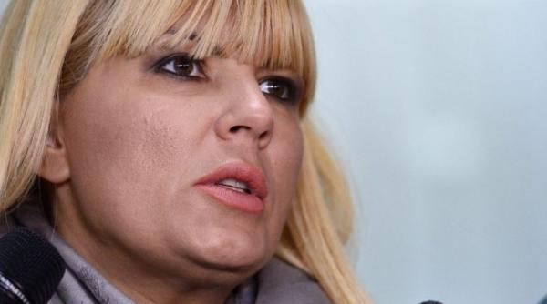 Elena Udrea cere liberarea condiţionată din penitenciar