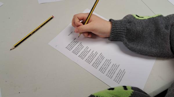 Ministerul Educației acordă burse românilor de pretutindeni pentru a studia în România, în anul școlar 2025-2026