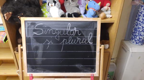 Sondaj ȘtiriDiaspora: Românii din diaspora consideră că statul nu sprijină suficient școlile românești din străinătate