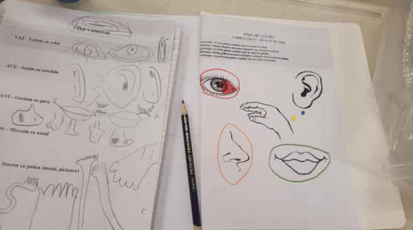 Sondaj ȘtiriDiaspora: Aproape 70% dintre românii din străinătate spun că este greu să găsească resurse educaționale în limba română