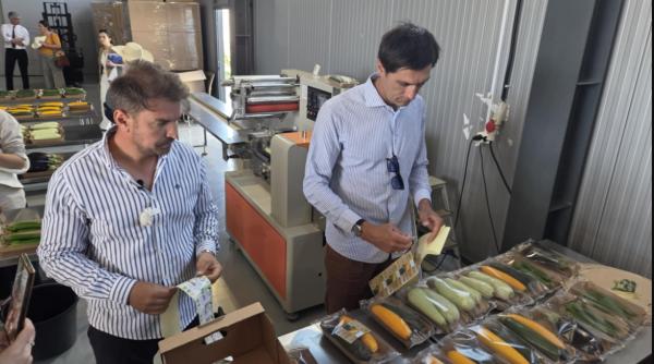 "Cultivă Tătăruşanu". Fostul mare portar al naţionalei, partener în prima cooperativă BIO din programul "Grădina Noastră"