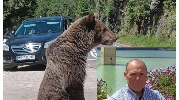 Presa din Italia, revoltată de moartea italianului de pe Transfăgărășan: "România are o mare problemă"