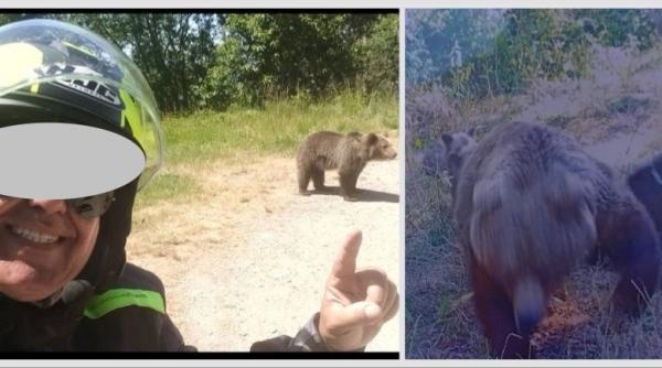 Ultima fotografie din telefonul italianului atacat de urs pe Transfăgărășan 