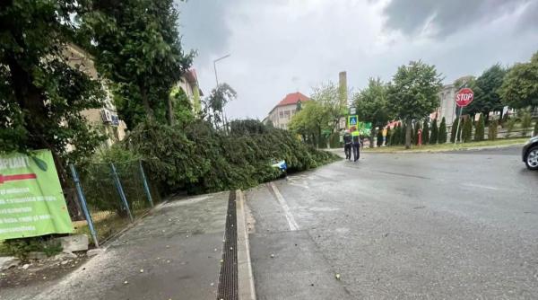 Furtunile din ultimele 24 de ore au făcut prăpăd în peste 80 de localităţi din România