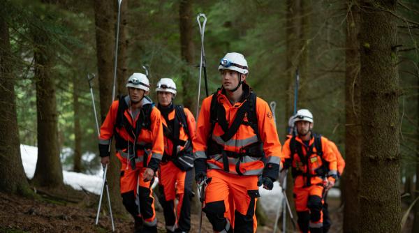 Român, grav accident în Austria, în timp ce tăia un copac din pădure 