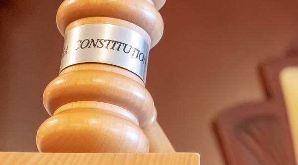 Elena-Simina Tănăsescu a fost aleasă preşedintă a CCR