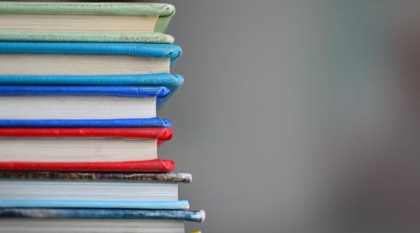 Românii din diaspora, împărțiți în privința viitorului limbii și culturii române: un sondaj ȘtiriDiaspora arată îngrijorări reale