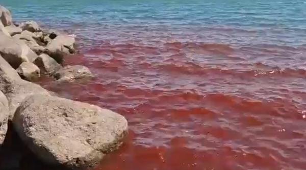 Șoc la Marea Galileei: Apele s-au făcut roșii ca sângele! Localnicii vorbesc despre semne apocaliptice