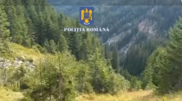 Noi detalii în cazul tragediei din Făgăraș: Tânărul care a supraviețuit a aşteptat ore în şir lângă prietenii săi fără viaţă