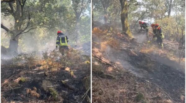 Pompierii români luptă cu incendiile de vegetație din Spania. Record de zile caniculare în această țară - VIDEO