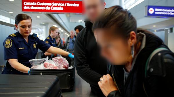 Cuplu de români, prins pe un aeroport din Canada cu carne de porc și găini tăiate. Amenda uriașă i-a lăsat fără cuvinte