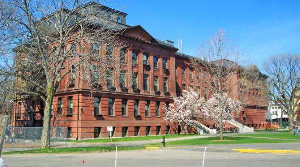 Harvard: cercetarea în privința reîntineririi celulare, aproape de consumatorul final