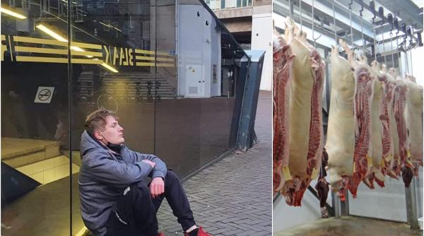 O româncă a investigat abuzurile la care sunt supuși muncitorii români din abatoarele din Olanda. Cum se transformă "viața mai bună" într-un coșmar