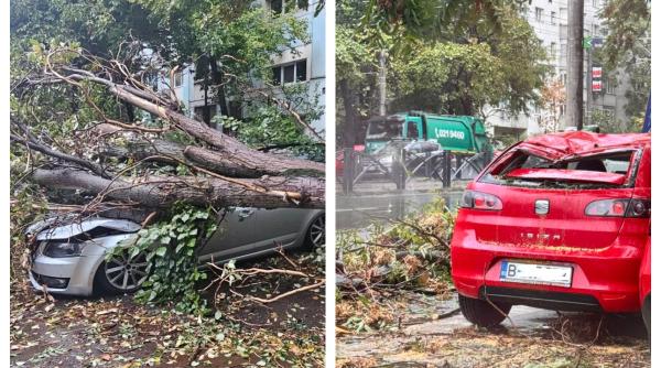 Vreme extremă în România. Zeci de copaci prăbușiți peste mașini 